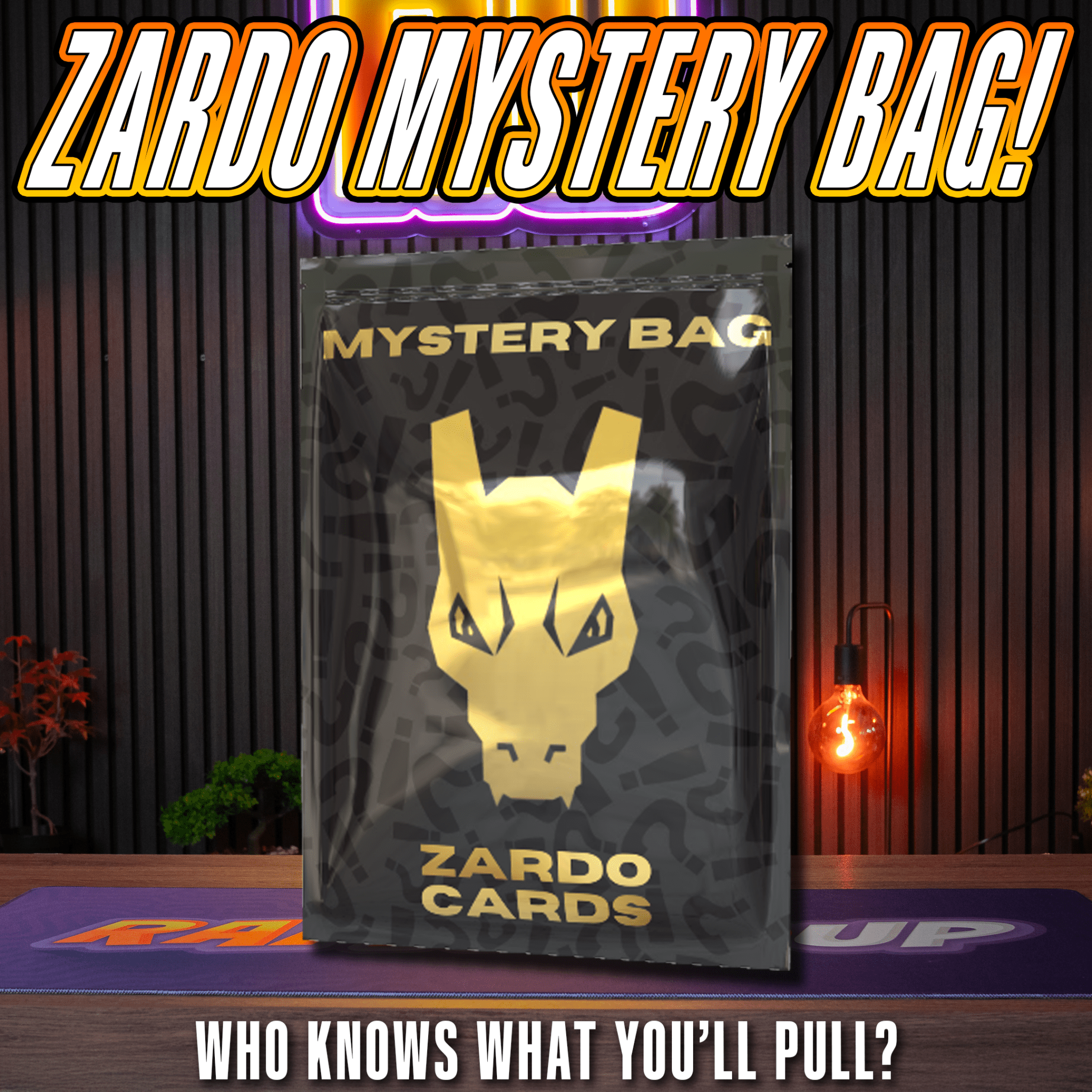 POKÉMON: ZARDO MYSTERY BAG